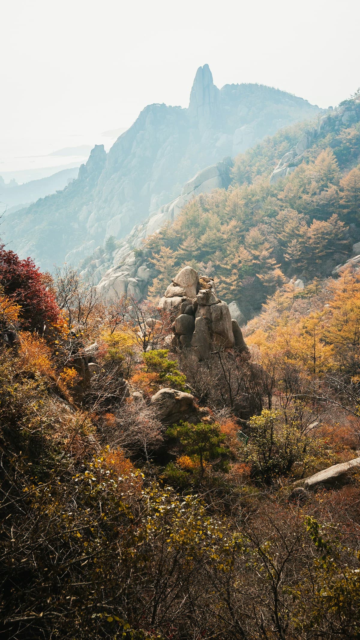 Granite peaks and autumn woodland at Laoshan. This landscape does not identify a ticket zone; choose your specific route below.