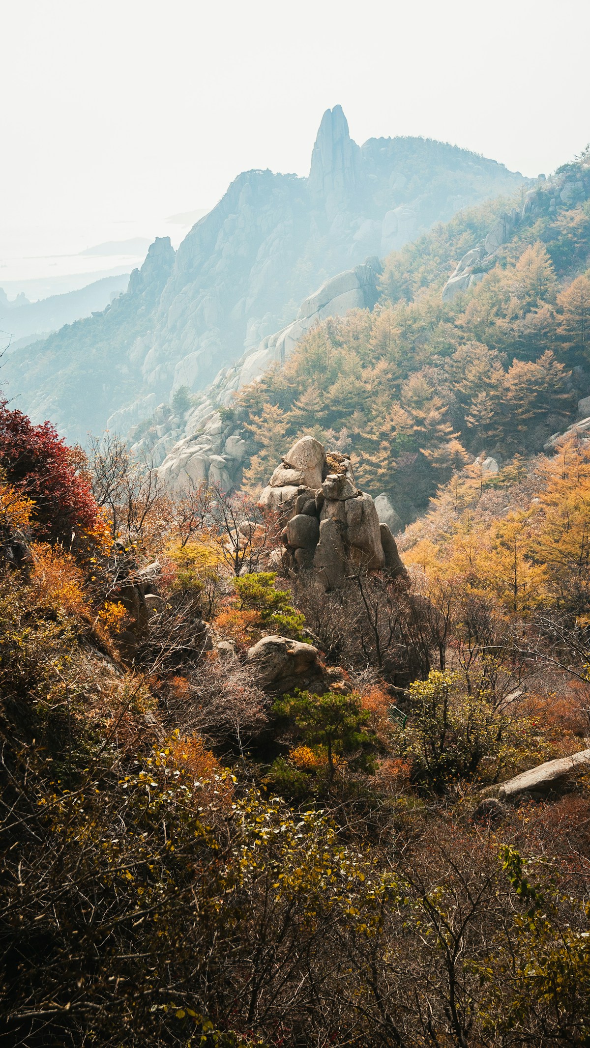 Granite peaks and autumn woodland at Laoshan. This landscape does not identify a ticket zone; choose your specific route below.